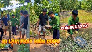 Đi đồng vô tình gặp ngay con vật có hình dạng như rùa nặng 10 ký |TeamHoài PhongTV