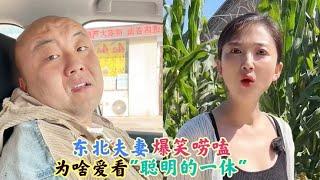 东北夫妻爆笑唠嗑：为啥爱看聪明的一休 媳妇一句话让人笑喷了