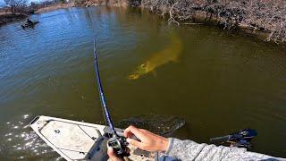 Fishing a SMALL RIVER for GIANT MUSKIES! (12 MUSKY IN ONE DAY)