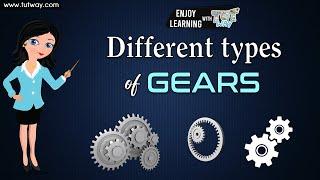 Gears | Types of Gears: Different Gears and their Uses Explained | Mechanical Engineering | Science