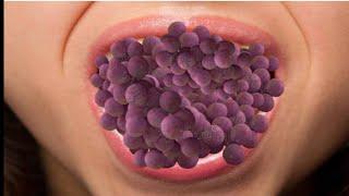 "Relaxo ASMR: Sleep-Inducing Triggers & Soothing Ear Spa for Ultimate Relaxation 