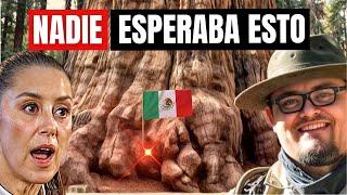 Este GUARDABOSQUES Mexicano, Encontró El TESORO Oculto Bajo El ÁRBOL Más Grande del Mundo