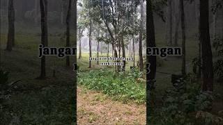 Mamah Bilang | Untuk Urusan Cukup #shorts #motivation #hutan