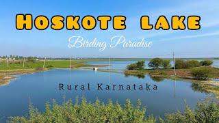 Hoskote Lake birding - Part 1 | Hoskote Lake bund area birding || Bangalore Birding || March 2022