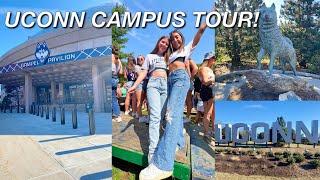 uconn campus tour 2023 | things to know before committing to uconn