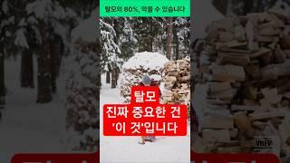 탈모, 진짜 중요한 건 따로 있습니다