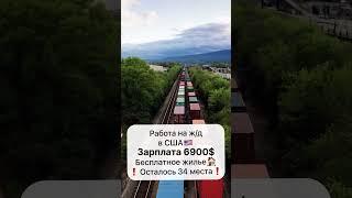 Работа в Европе #вакансии #работавевропе