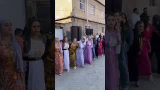 Kurdish Dance Kurdish Culture Kurdish Folklore #shorts #shortvideo #youtubeshorts #trending