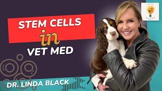 How Dr. Linda Black is Revitalizing Pet Care with Stem Cell Therapy