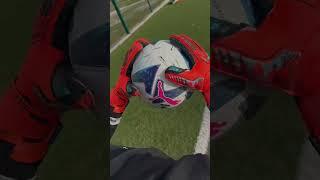 New Reusch Attrakt Guardian FIRST LOOK & TEST 