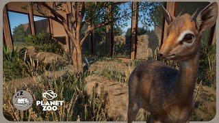 Building the Perfect KIRK`S DIK DIK Habitat | Planet Zoo Zookeepers Animal Pack Speedbuild