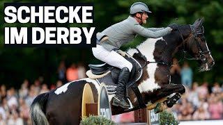 Ein Schecke in der Quali zum Derby  | Was eine Seltenheit! |  Ralf-Werner König | Hamburger Derby