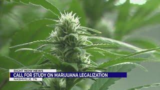 Tenn. Senate Judiciary Committee advances bill to study licensure, regulation of medical marijuana