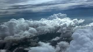 Sabbath Live at The House of Jacob 6-14-2025: Feed My Sheep