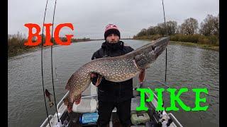 В ПОГОНЕ за ТРОФЕЕМ (ТРЕЙЛЕР) #fishing #rybkaest #bigfish #pike