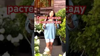 ‍️ Никогда не сажайте эти растения у себя в саду!