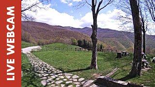 Webcam Live Rifugio Burigone (LU) - Garfagnana