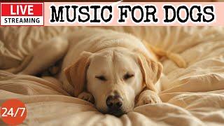 [LIVE] Dog MusicDog Calming MusicSeparation Anxiety ReliefDog Relaxation for Deep Sleep10