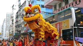 Chinese New Year 2019 Lion Dance, Hong Kong