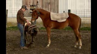 Colt starting | Colts First Saddling!