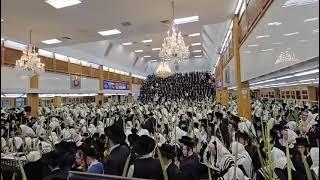 Hoshana Rabbah 2024 With Satmar Rebbe R’ Zalmen Leib