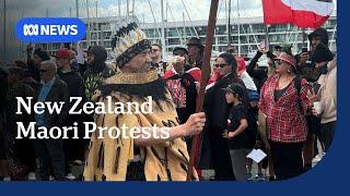 Maori protest descends on NZ parliament over treaty debate | ABC NEWS