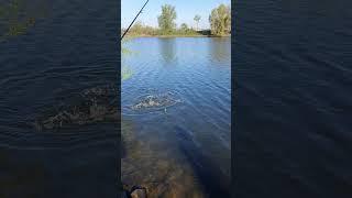 Germany Duisburg Ruhr River Fishing 04/30/2023