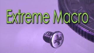 Extreme Macro Photography How To get it right in the Camera - Part 1