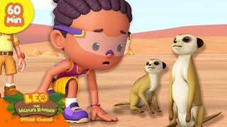 The Meerkats Lost their Home?!  | Desert Animals | Leo the Wildlife Ranger | Kids Cartoon