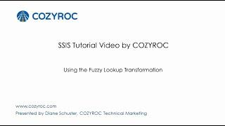 Using the Fuzzy Lookup Transformation  - SSIS tutorials for Beginners by COZYROC