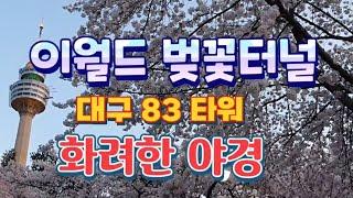 이월드 벚꽃축제(대구 우방랜드)이렇게 멋진 벚꽃터널 보셨나요?