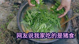 网友说我家吃的是猪食，这是贵州酸汤鱼，网友想吃还吃不到