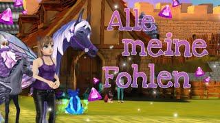 Alle meine gezüchtet Fohlen  So süß  Horse riding tales🫶 Zuchtversuche