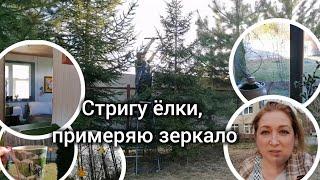 Добавлю света зеркалом и сделаю пушистыми ёлки на участке
