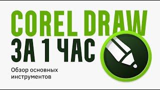 Corel Draw за 1 час  |  Обзор основных функций программы  |  Делаем обучающий макет для соц. сетей