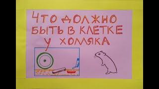 Что должно быть в клетке у хомяка