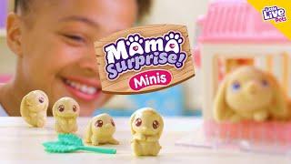 LITTLE LIVE PETS I MAMA SURPRISE MINIS TVC I 30