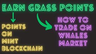 There is still time to farm GRASS | How to Trade Points on Whales Market | Mint Network ME Points