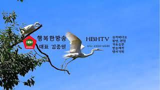 가수  :   강신호 (지구촌방송)   택시운전사 라이브 방송