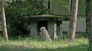 OPERATION To Abandoned Russian Nuclear Bunker