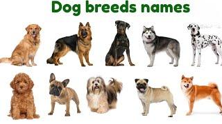 Dog breeds names in English, dark breeds,English to Telugu tutorials