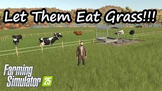 How To Fix Grazing in FS25