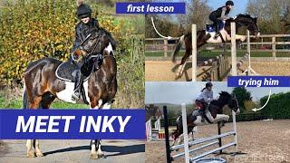 MY NEW HORSE | MEET INKY