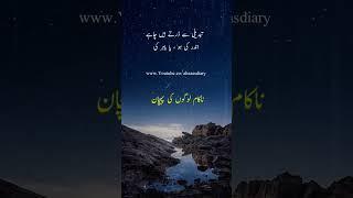 Best Quotes in urdu | Nakaam Ki Logoon ki Pehchan #shorts #ytshorts