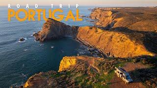 Dinosaur Footprints and Storks on Cliffs  - Portugal