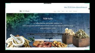 TCM-Suite: Traditional Chinese Medicine component identification and network pharmacology analysis