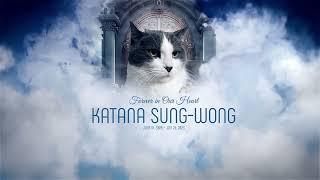 Rest in Paradise my little Katana