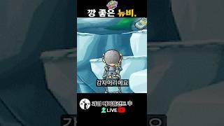 깡 좋은 뉴비. 메이플랜드