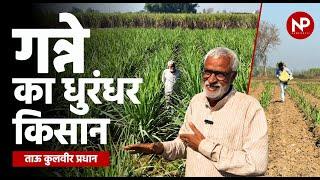 गन्ना किसान कुलवीर प्रधान, Sugarcane farming tips by progressive farmer| ganne ki kheti | News Potli