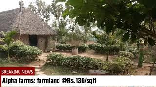 Low budget farmland for sale in kanchipuram